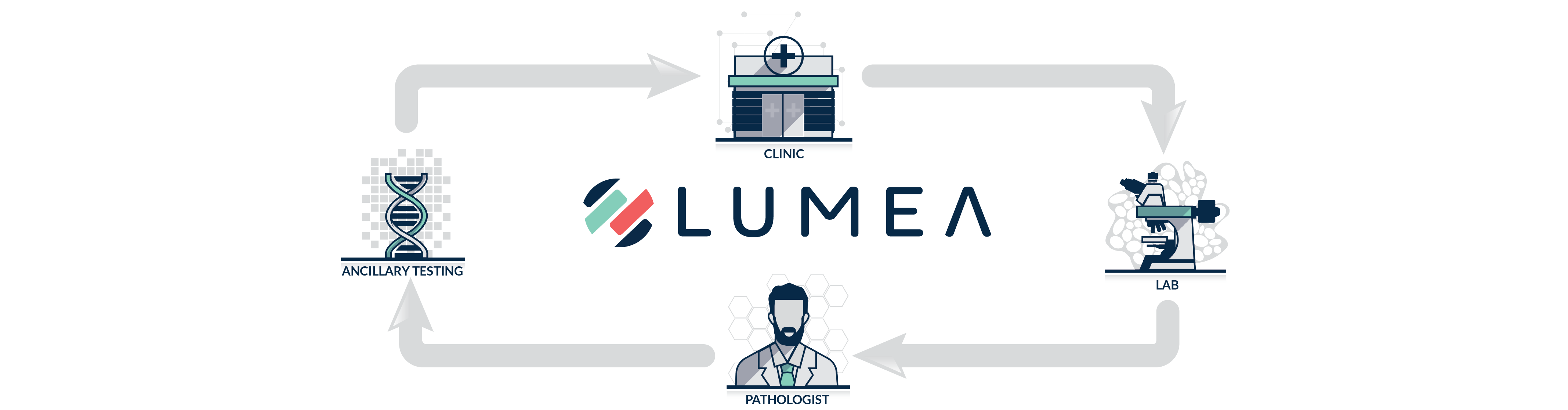 Lumea digital pathology solutions Process