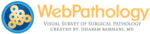 Web pathology logo
