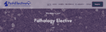 Pathelective digital pathology resource