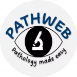 Pathway teacher
