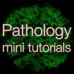 Pathology mini tutorials