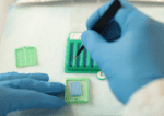 Lab tech moves biopsies from bxboard to bxchip