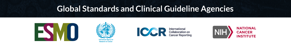Global standards and clinical guideline agencies organization logos
