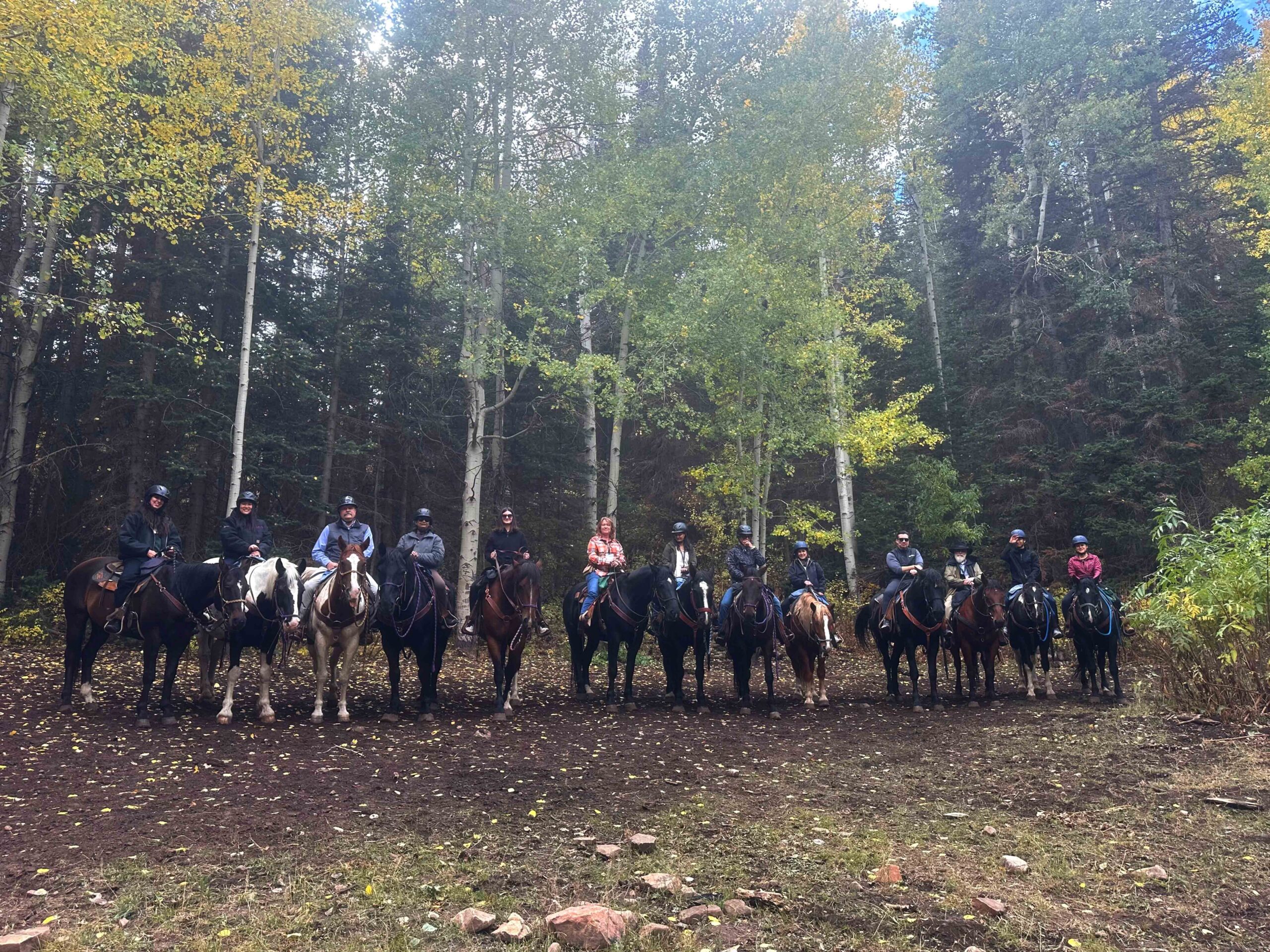 Group of people on horseback lined up in a forest clearing autumn leaves on the ground