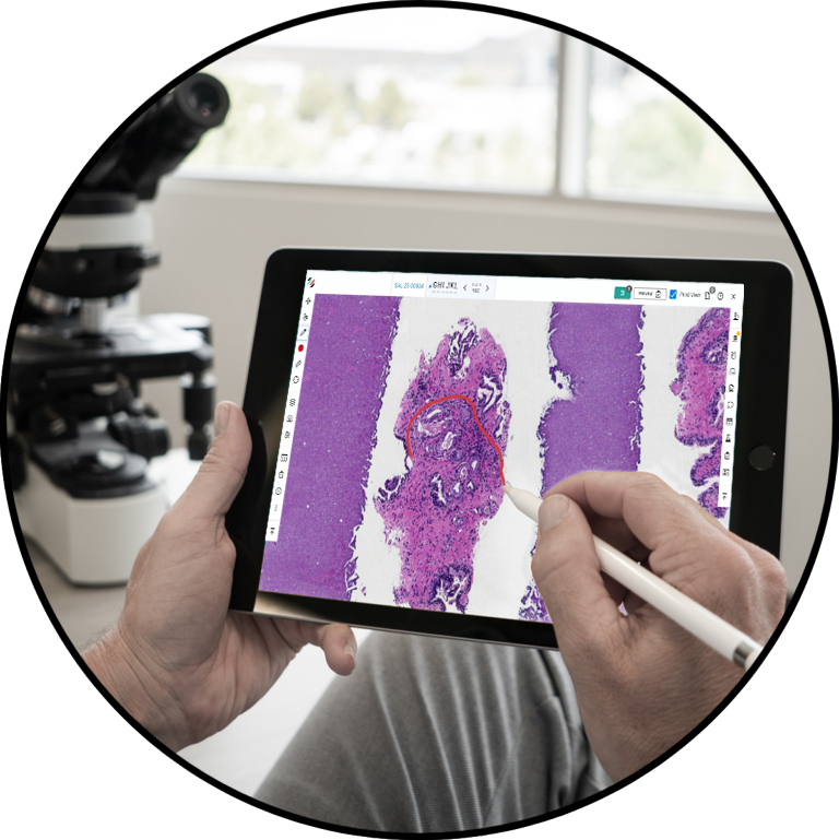 Patologist Tools Digital Pathology Platform for Pathologists | Lumea